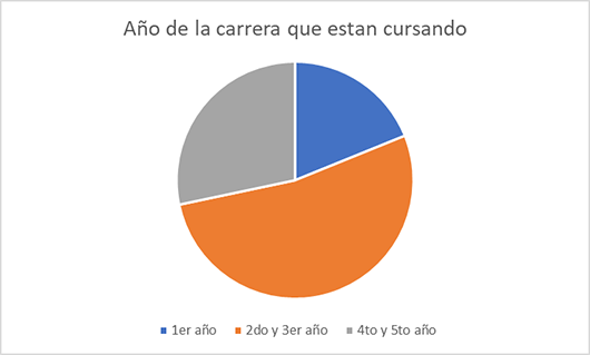 Año de la carrera que están cursando