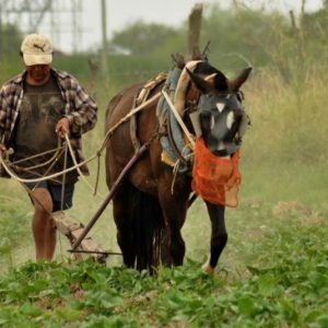 Talleres De Fotografía De La Universidad Nacional Arturo Jauretche