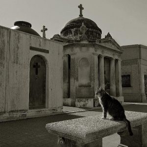 Talleres De Fotografía De La Universidad Nacional Arturo Jauretche